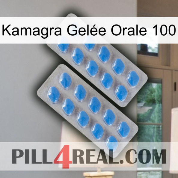 Kamagra Gelée Orale 100 23.jpg